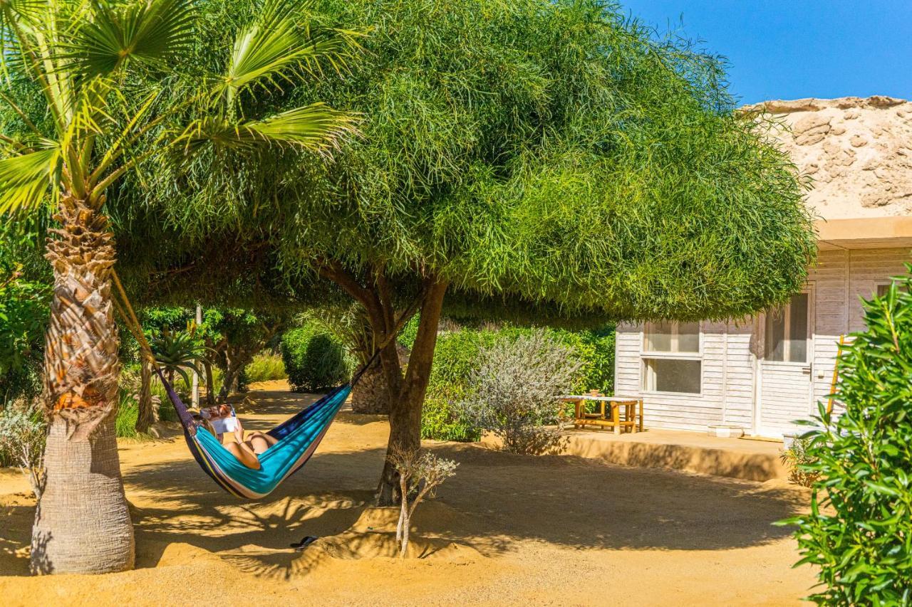 Lagon Energy Dakhla Hotell Eksteriør bilde